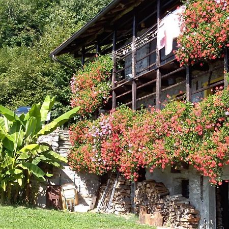 B&B "La Baita Delle Coccinelle" 瓦拉洛 外观 照片