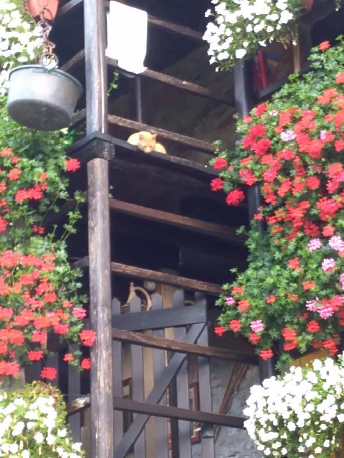B&B "La Baita Delle Coccinelle" 瓦拉洛 外观 照片