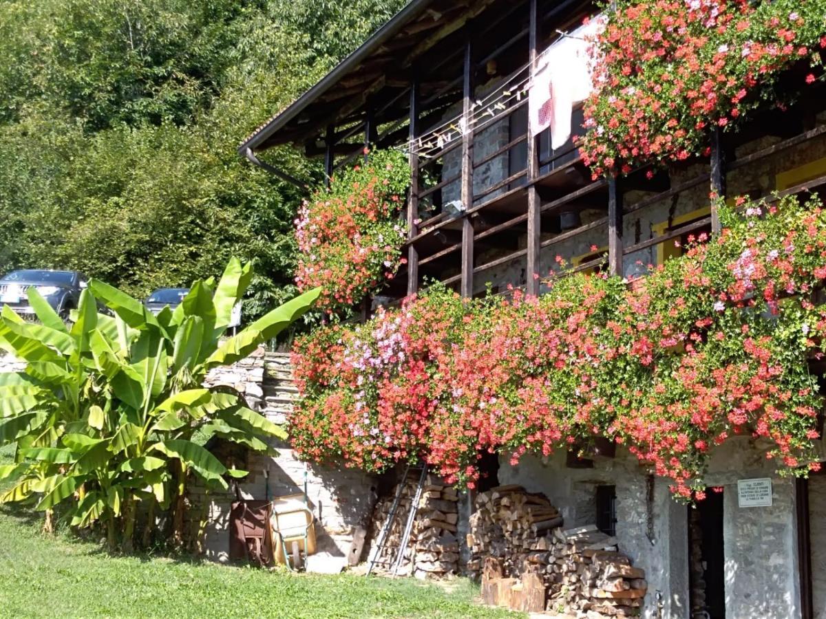 B&B "La Baita Delle Coccinelle" 瓦拉洛 外观 照片